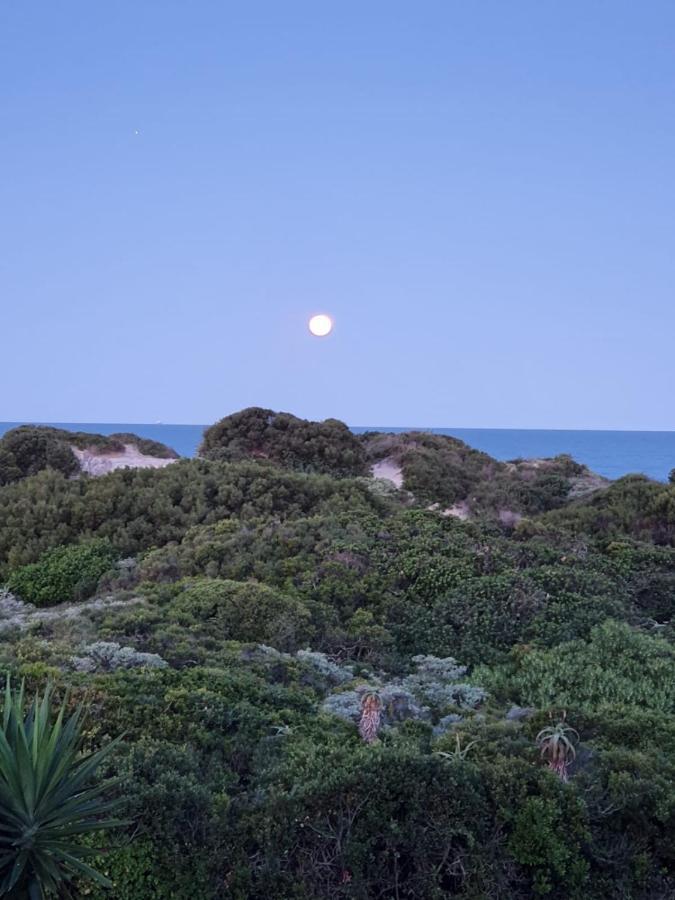 House Haven Guesthouse Port Elizabeth Exteriör bild